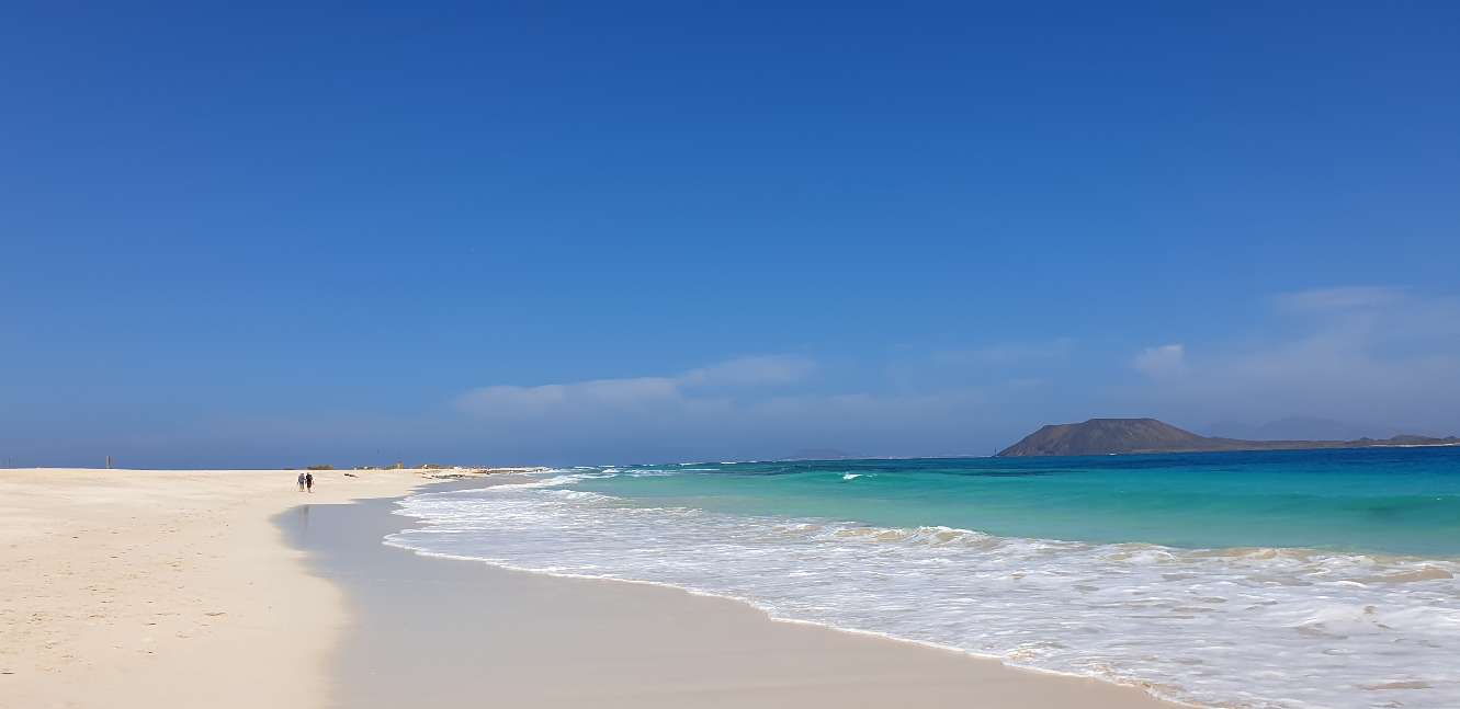 FUE 1 20210315_132034.jpg